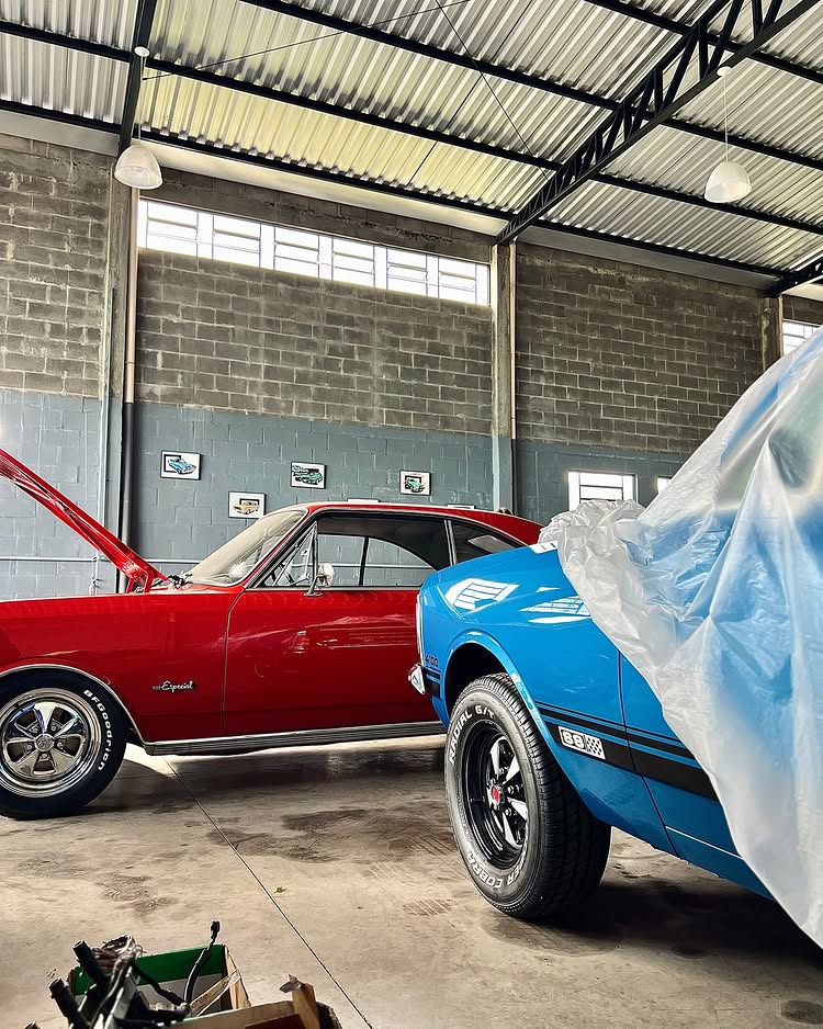 Master Motors Gallery